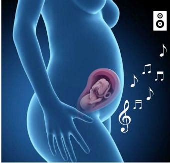 胎教儿歌大全100首孕晚期