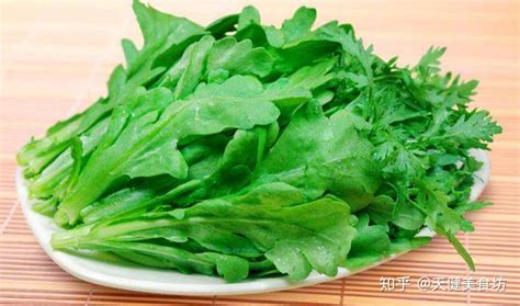 茼蒿菜什么时候种植