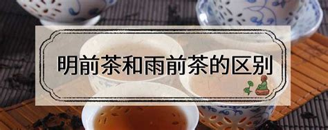 怎么泡功夫茶视频教程,潮州功夫茶二十一式