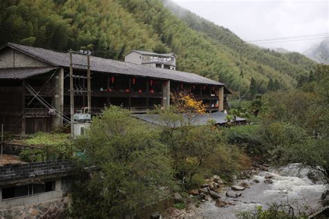 电视剧《茶间道》鲜看会在广西凌云举行,广西浪伏茶叶怎么样