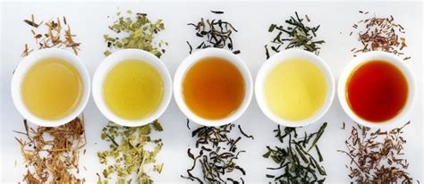 知道茶叶是怎么分类的吗,茶的品种按什么分类