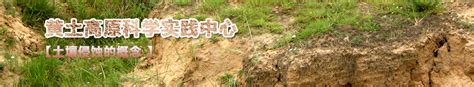 江汉平原土壤主要是什么土,土壤环境监测点位布设和采样制样
