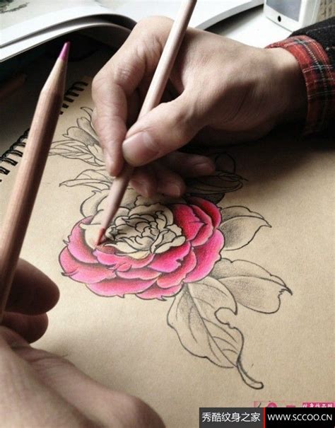 小臂牡丹花纹身素描,彩铅手绘牡丹花教程