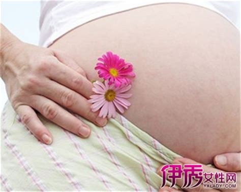 孕中期11周孕妈需要什么营养