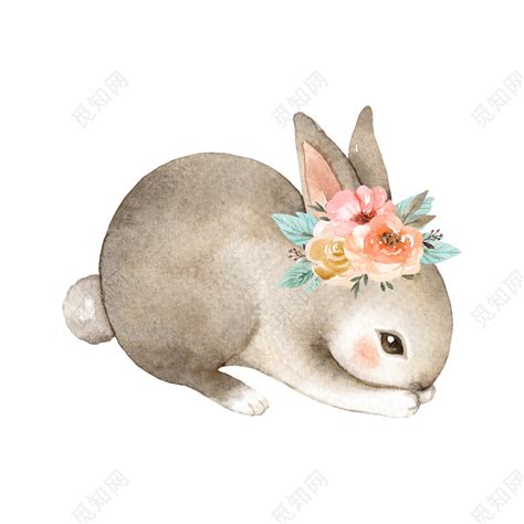 可爱的小灰兔（集锦6则）