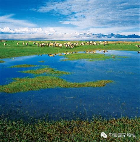 中国最美的草原
