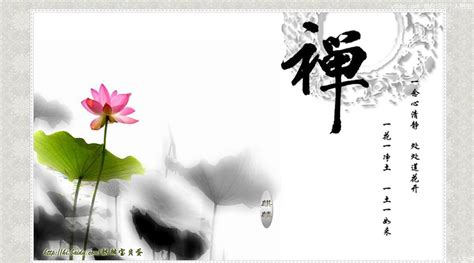 静心禅悟精辟句子