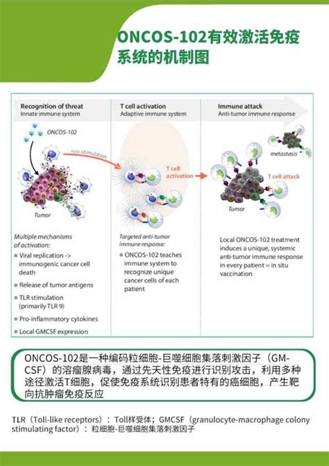 什么是论文的文献综述,论文的文献综述写什么内容