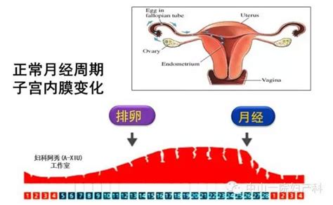 内膜厚怎么怀孕