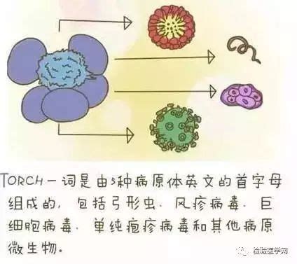 孕妇感染eb病毒初期症状