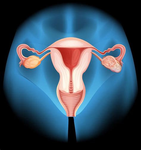 子宫内膜增厚的原因有哪些