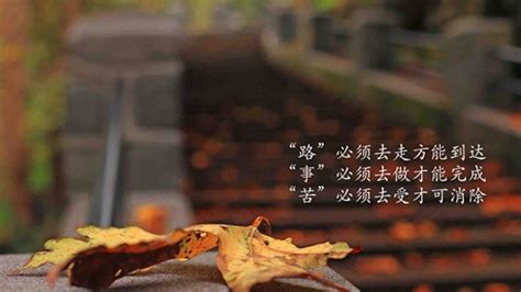 心灵鸡汤人生感悟语录女人