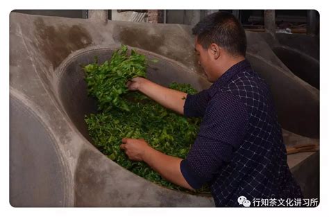 香竹箐十年的茶多少钱,茶叶界有个20岁的怪胎