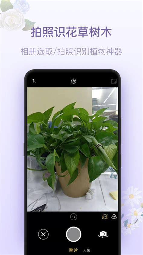 拍照识别植物app哪个好,识别植物的app哪个好