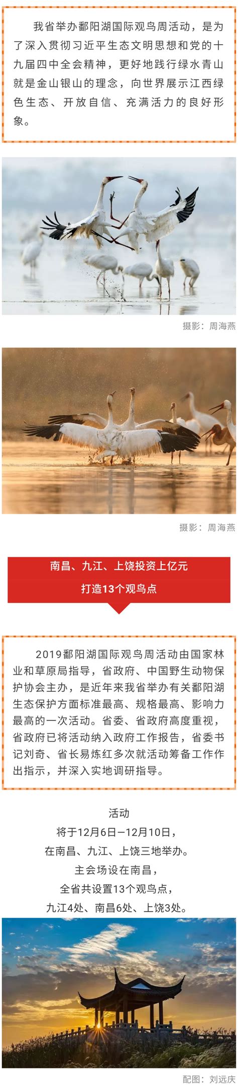 首届鄱阳湖国际观鸟周12月江西举办