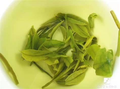为什么茶汤会浑浊不清澈,绿茶冲泡后为什么茶水混