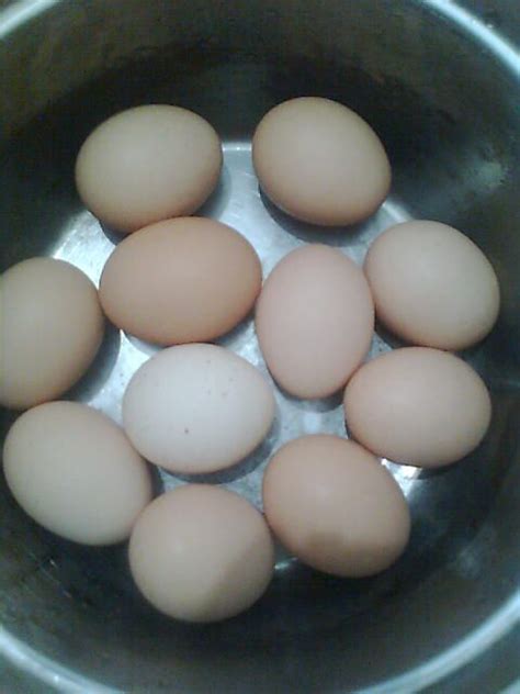 五香茶叶蛋做法,怎么烧五香蛋
