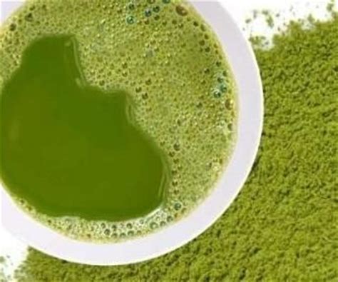 日本绿茶粉怎么喝,绿茶粉怎么喝不苦