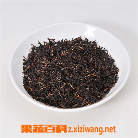 福鼎白茶的树种属于什么类,很多人搞混的安吉白茶与福鼎白茶