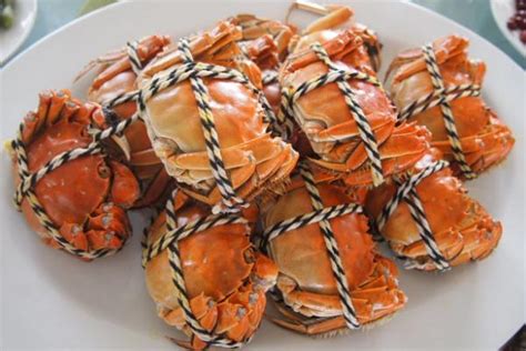 青蟹和大闸蟹哪个好吃 松茸和大闸蟹哪个好吃