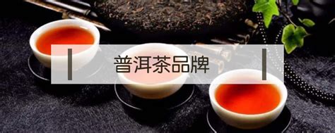 普洱茶七佳有哪些品牌,乌龙茶的种类有哪些