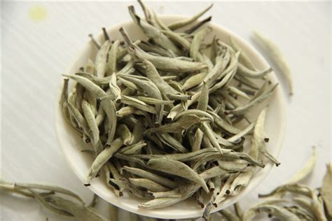 云南白茶产地是哪里最好,白茶的主要产地
