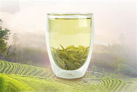 茶叶保健功能有哪些,喝茶真的保健么