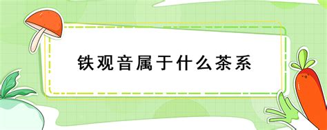 铁观音属于什么茶类别,请问铁观音属于什么茶