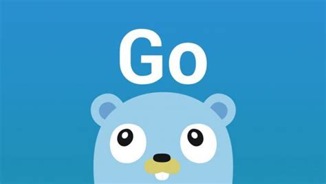 vscode go 调试配置文件怎么写