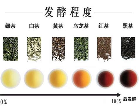茶叶的种类有哪些,茶的种类怎么划分