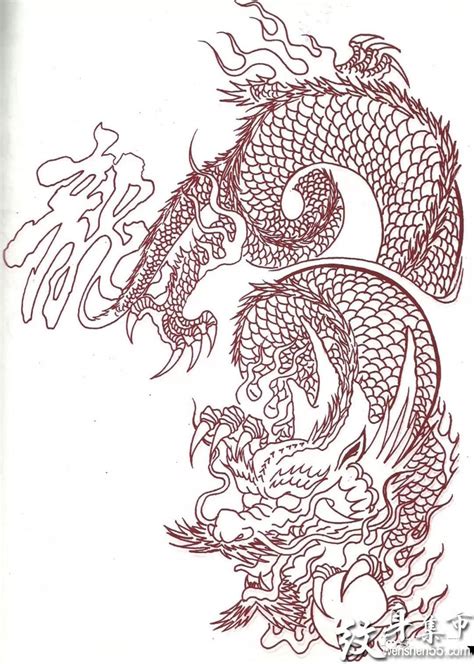 新传统龙纹身手稿,传统龙纹身图集推荐