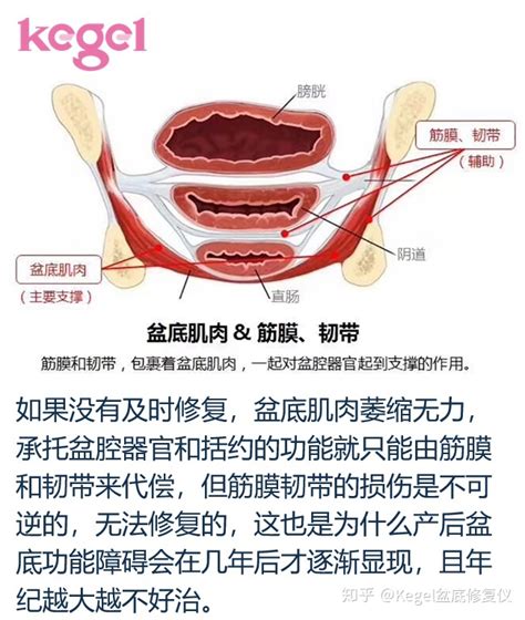 产后体态评估