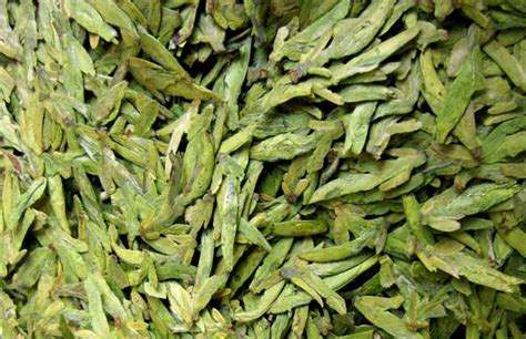 中国茶历史多少年,图文细说中国茶的渊源与历史