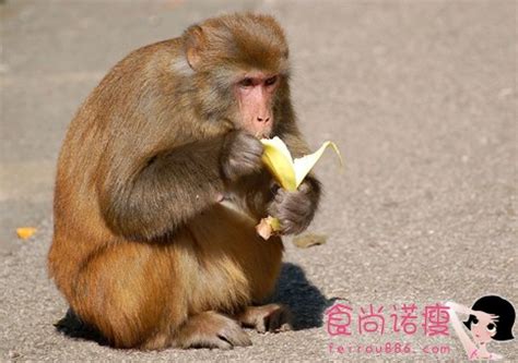 猴魁为什么没有什么香味,为什么某宝上能买到几十元的猴魁