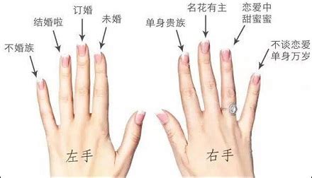 小拇指戒指代表什么,不同手指戴戒指分别代表什么