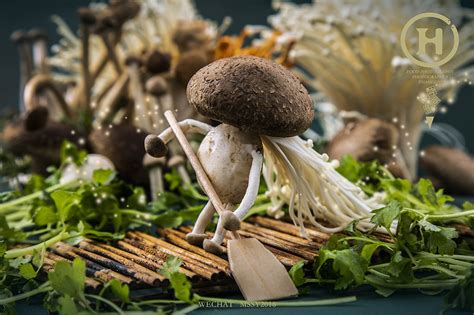 菌菇类中何种菌菇味道最为鲜美,营养价值最为丰富,市场价值最为名贵