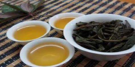 中国岩茶有哪些品种,正确认识武夷岩茶
