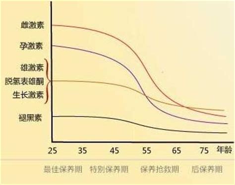 月经周期内乳房变化规律