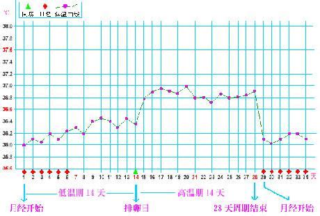 怀孕初期体温