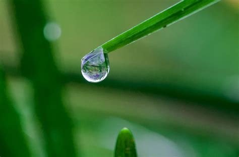 雨露均沾