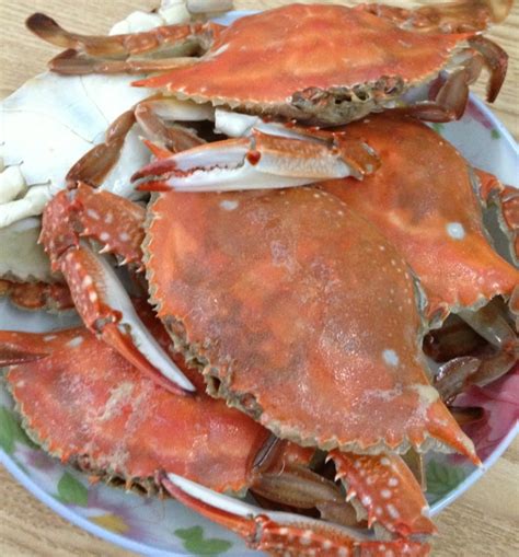 比蒸煮的原味螃蟹更好吃,螃蟹怎么做更好吃