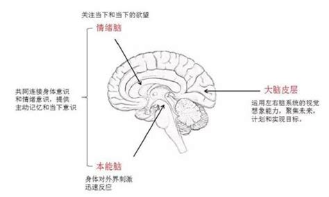 怎样治疗孩子拖延症