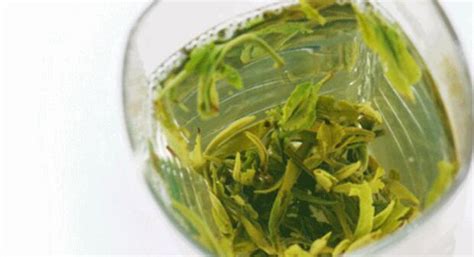 买绿茶怎么选优质的,毛峰干茶怎么分辨好坏