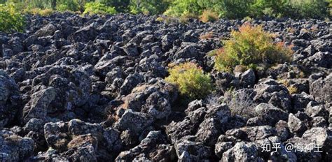 罗汉鱼缸里放火山石好吗