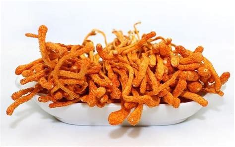 蛹虫草燕窝饮品可以加热喝吗