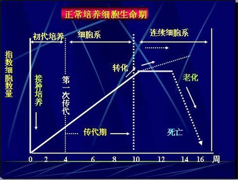 小孩子怎么从小培养艺术细胞