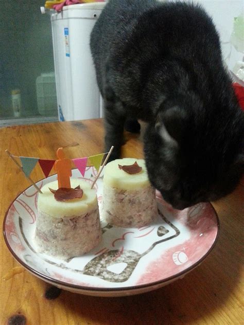 猫咪吃的蛋糕怎么做,怎么做猫咪蛋糕