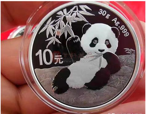 30克熊猫币价格多少钱,银子多少钱一克