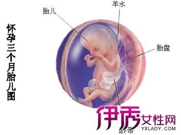 五个月胎儿引产母亲会很痛苦吗