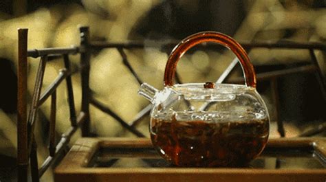 煮茶怎么能把茶叶隔开,爱茶的你一定要看